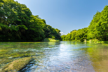 静岡県の駿東郡清水町を流れる清流で有名な柿田川と富士山