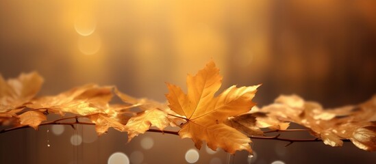 Naklejka na ściany i meble Beautiful autumn leaves background illustration
