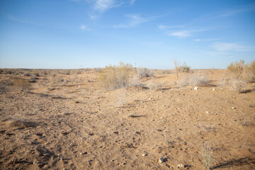 dry land of the uzbekistan