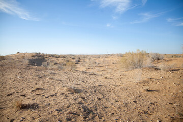 desert land of the  uzbekistan
