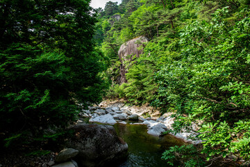 The beautiful deep valley fall landscape.