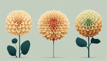 Simple minimalistic peach color flower illustration on a plain colorful background