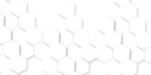 Fototapeta premium Abstract background with lines. Modern simple style hexagonal graphic concept. Background with hexagons