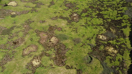 Foto aérea drone Terceira Islas Azores , Portugal