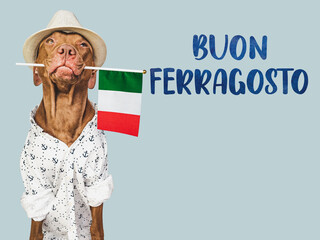 Buon Ferragosto - happy mid-August. Cute dog and Italian Flag. Closeup, indoors. Studio photo....