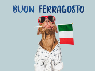 Buon Ferragosto - happy mid-August. Cute dog and Italian Flag. Closeup, indoors. Studio photo....