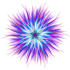 flower purple
