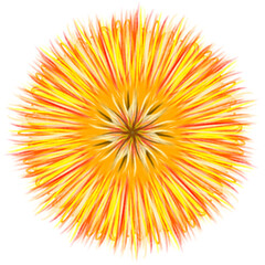 Fototapeta premium flower orange