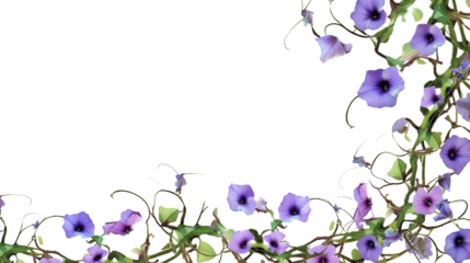 whimsical morning glory vine