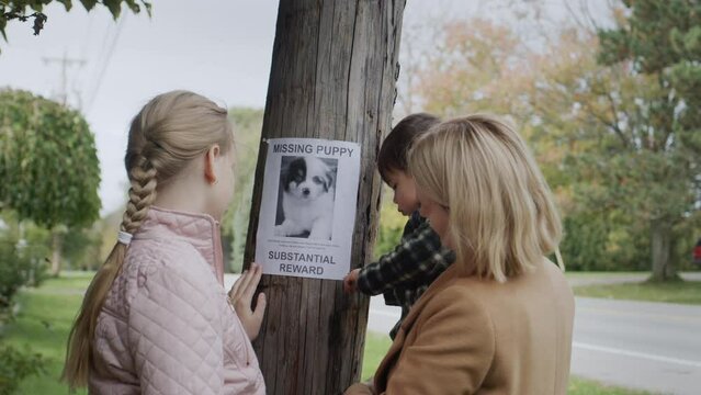 A woman with children pastes ads about a missing puppy