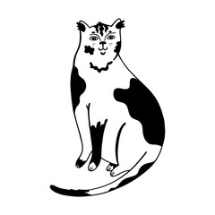 Vector drawing of a mammal of the cat family. Domestic cat, wild cat line art black and white. Isolated on white background.