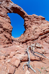 Arches Park,  Moab, Utah, USA © emiliano74