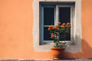 window with flowers in pots