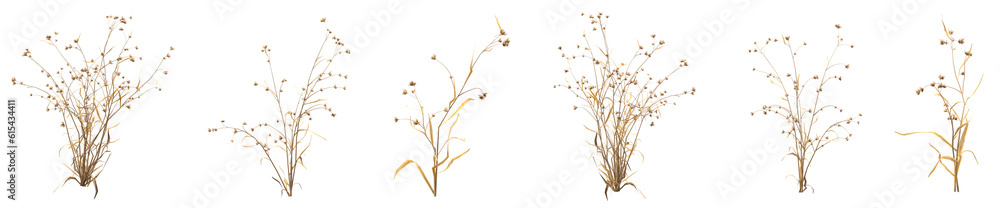 Poster set of dead plant and dry grass with isolated on transparent background. png file, 3d rendering illu