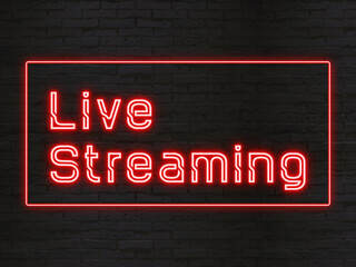 live streaming (ライブストリーミング) のネオン文字