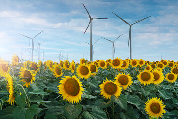 Concept image for green eco energy. A field of sun flower plants with wind turbines electricity farm in background.