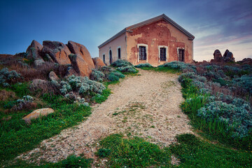 Sardynia Capo Testa Prowincja Sassari, droga i opuszczony dom na północny Sardynii, śródziemnomorski krajobraz - obrazy, fototapety, plakaty