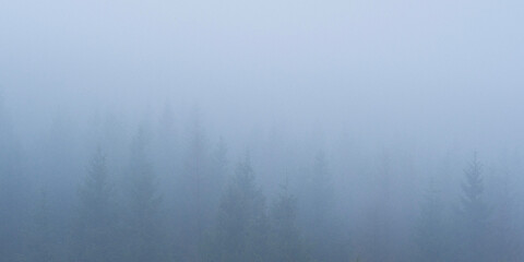 fog over water