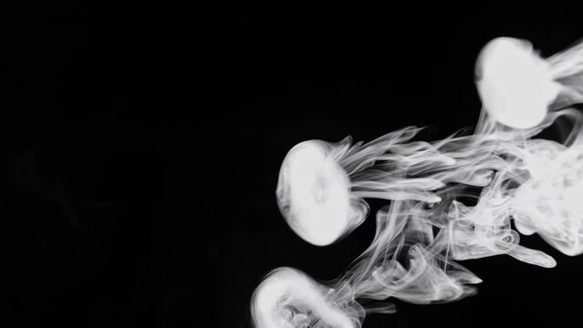 Smoke Rings On Black Background
