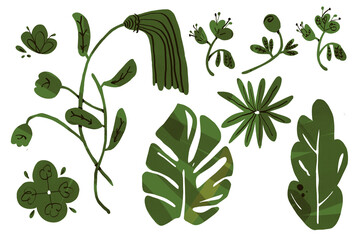 set of green plants