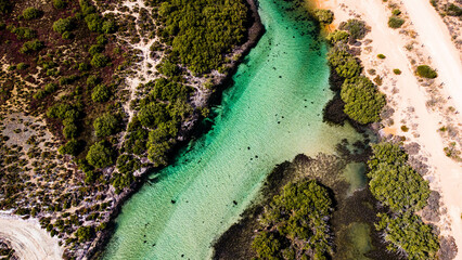 Moring Coastal River