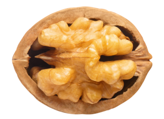 Delicious walnut cut out