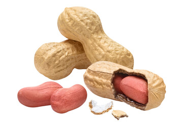 Delicious peanuts cut out