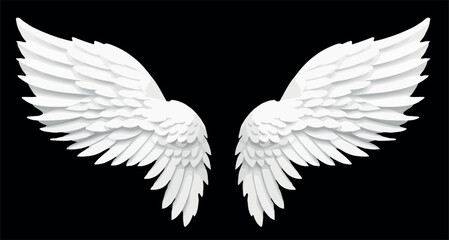 Angel wings multicolor vector illustration isolated