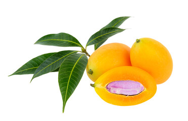 marian plum or plango on transparent png