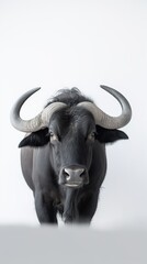 African Buffalo: Untamed Beauty in Minimalism. Generative AI