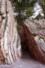 dog in a cave near the rocks. Golden Retriever in nature. Traveling with a pet