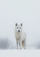 White Alpha Wolf in Winter: Graceful Majesty in the Snow. Generative AI