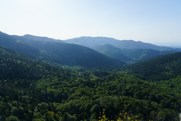 Vosges