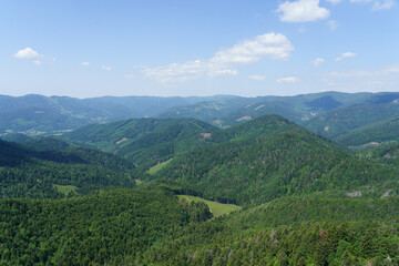 Vosges