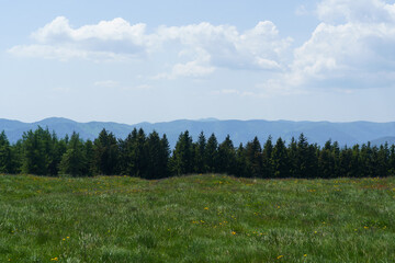 Vosges