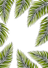 Rectangular A4 template for text with tropical palm leaves. Frame or border with jungle rainforest exotic plants. Isolated on white realistic hand drawn illustration for label design.