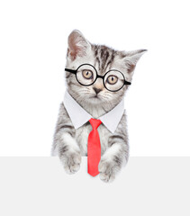 Smart cat wearing eyeglasses and necktie looking above empty white banner. isolated on white background