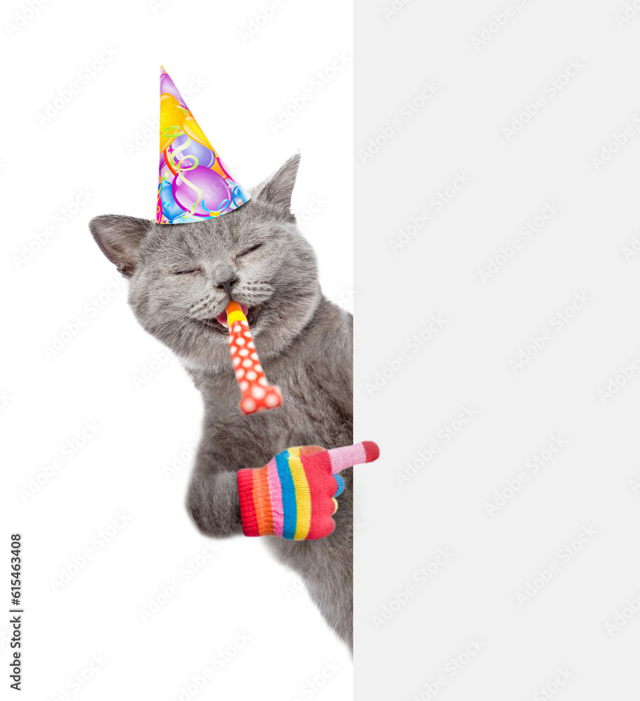 Poster happy cat wearing party cap blows in party horn and points on empty white banner. isolated on white 