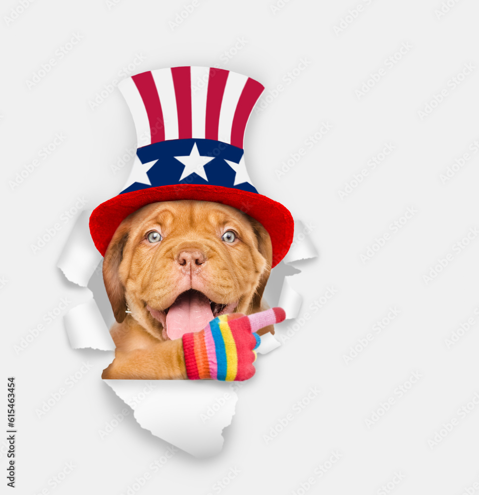 Poster happy mastiff puppy wearing like uncle sam looking through a hole in paper and points away on empty 