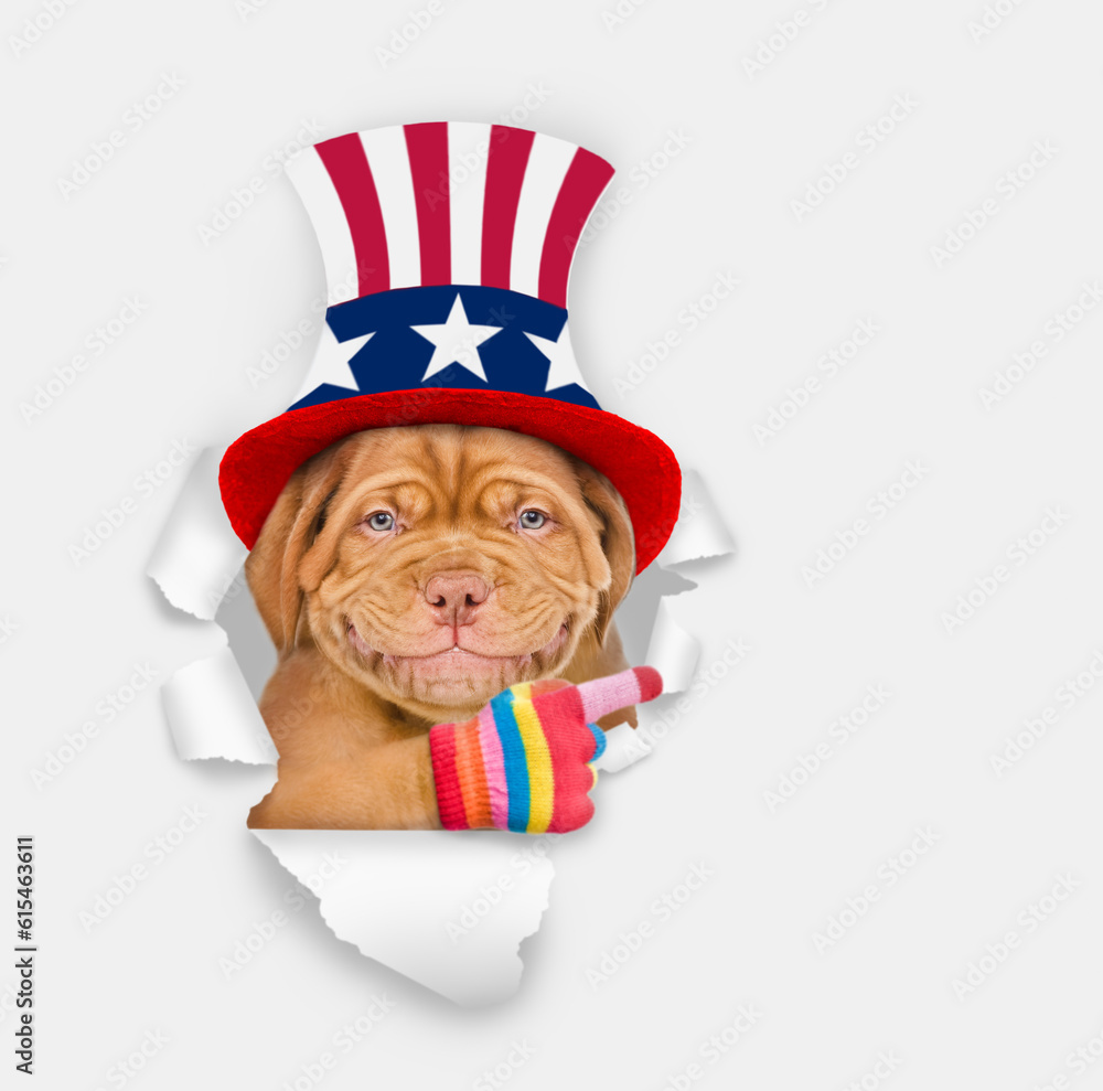 Poster Smiling Mastiff puppy wearing like Uncle Sam looking through a hole in paper and points away on empty space. isolated on white background