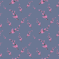 Nice print pattern of sakura branches on a blue background. Small delicate pink flowers. Feminine pattern, summer, spring