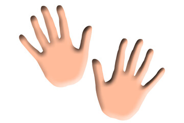 Human hands isolated on white background illustration. transparent background. png format