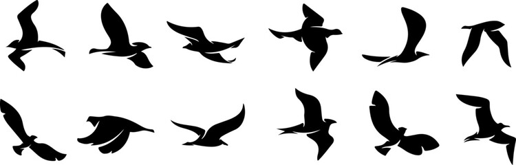 set of silhouettes of birds