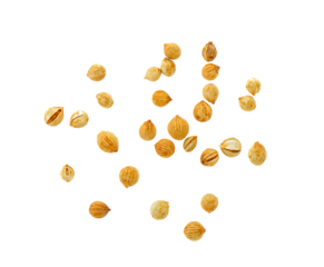 Coriander seeds isolated on transparent png
