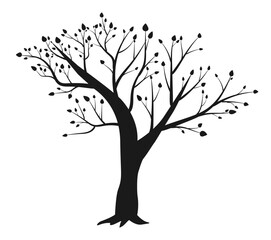 Silhouette of a tree with leaves on a white background. Black tree silhouette. vector