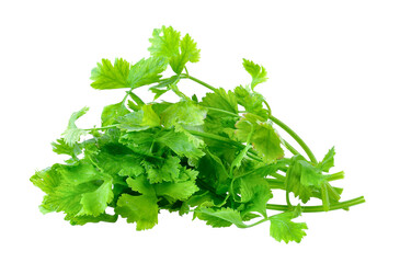 celery on transparent png