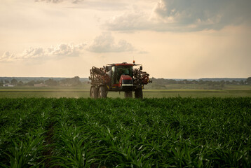 Red sprayer working on the field of corn  - obrazy, fototapety, plakaty