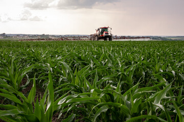 Red sprayer spraying corn field - obrazy, fototapety, plakaty