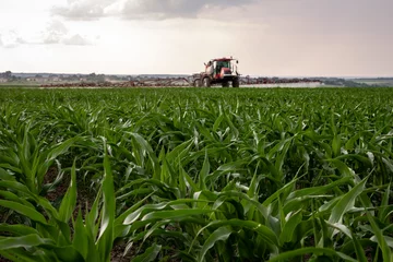 Fotobehang Red sprayer spraying corn field © Valerii