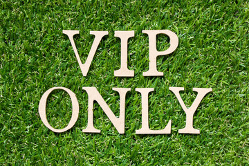 Wood alphabet letter in word VIP (abbreviation of very important person) only on artificial green...